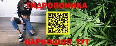 МДПВ Сланцы